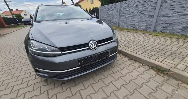 kutno Volkswagen Golf cena 43900 przebieg: 256400, rok produkcji 2018 z Kutno